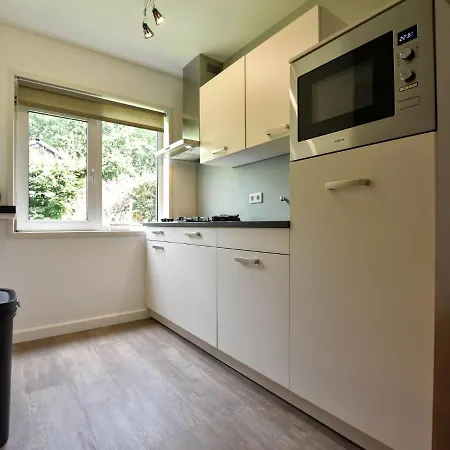 Modern Holiday With Terrace On On The Edge Of The Veluwe