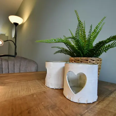 Modern Holiday With Terrace On On The Edge Of The Veluwe * Hulshorst
