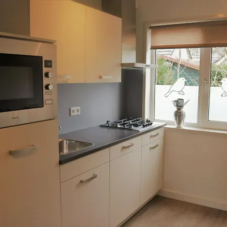 Modern Holiday With Terrace On On The Edge Of The Veluwe